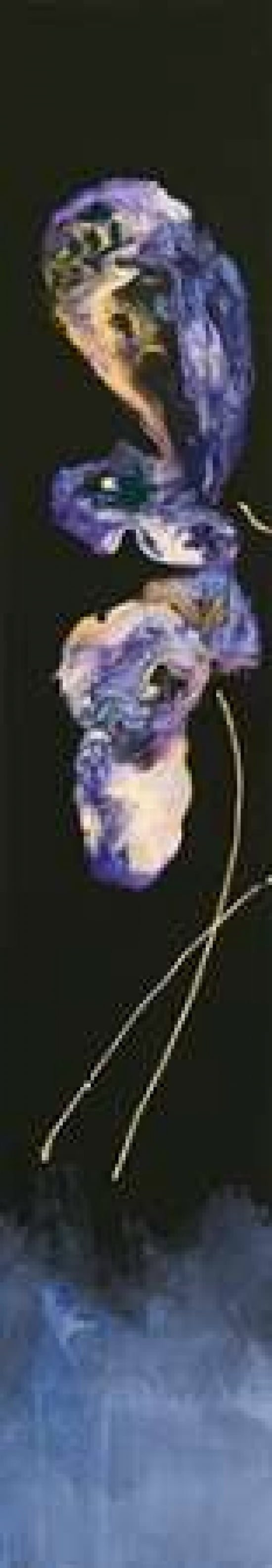 Floral Simplicity I Canvas Art - JC Pino (12 x 36)