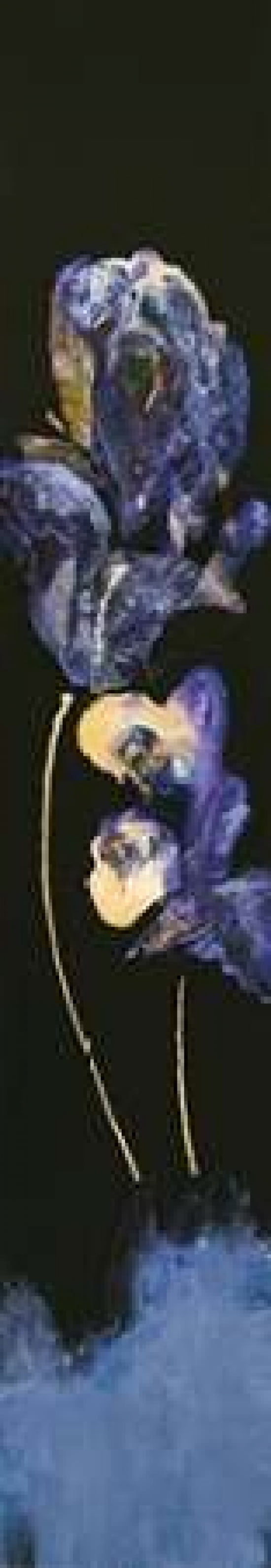 Floral Simplicity II Canvas Art - JC Pino (8 x 24)