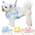 Floral Small Dog Harness Leash Set Dress for Girl, Cute Daisy