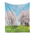 thumbnail image 1 of Floral Soft Flannel Fleece Blanket, Japanese Spring Scenery Grass Wildflowers Cherry Trees Pink Blossoms Panorama, Cozy Plush for Indoor and Outdoor Use, 60" x 80", Aqua Pink Green, by Ambesonne, 1 of 6