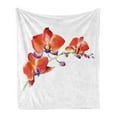 thumbnail image 1 of Floral Soft Flannel Fleece Blanket, Orchid Flower Branch with Vivid Color Petals Blossom Botany Blooms Picture, Cozy Plush for Indoor and Outdoor Use, 60" x 80", Orange Violet White, by Ambesonne, 1 of 5
