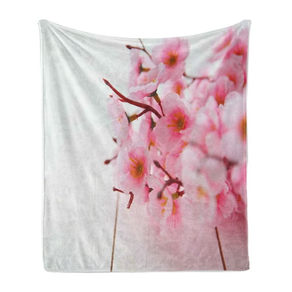 Floral Soft Flannel Fleece Throw Blanket, Cherry Blossom Petals Spring Season Florets in Soft Pastel Tones Art Print, Cozy Plush for Indoor and Outdoor Use, 60" x 80", Pale Pink White, by Ambesonne