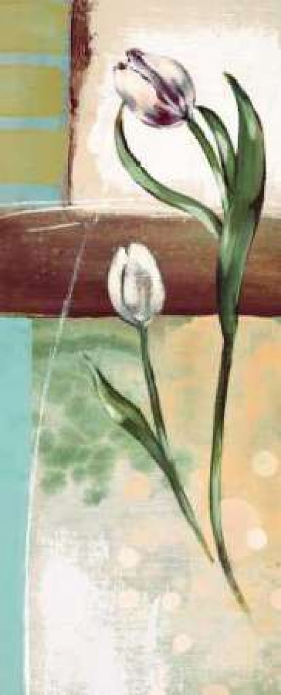Floral Splendor III Canvas Art - Selina Werbelow (10 x 20)