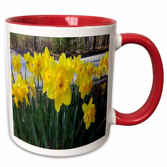 3drose, Floral Spring Summer Flowers Daffodils, 11oz Two-tone Red Mug