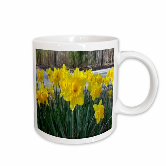 3drose, Floral Spring Summer Flowers Daffodils, 15oz Mug