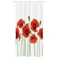 thumbnail image 1 of Floral Stall Shower Curtain, Poppies of Spring Season Pastoral Flowers Botany Bouquet Field Nature Theme Art, Fabric Bathroom Set with Hooks, 36W X 72L Inches Long, Red and Green, by Ambesonne, 1 of 1