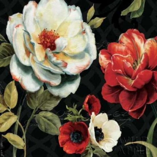 Floral Story IV on Black Canvas Art - Lisa Audit (24 x 24)