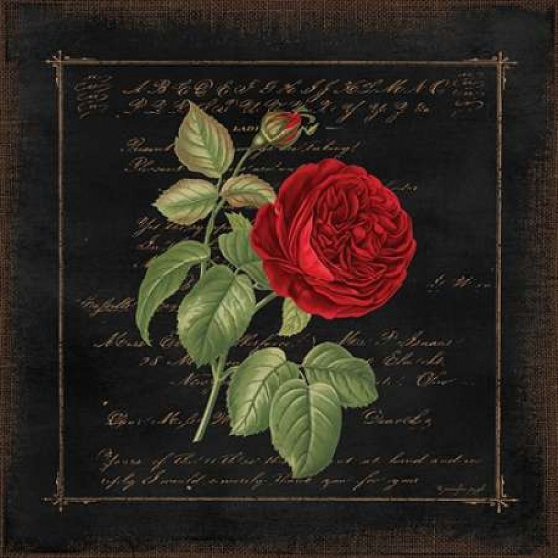 Floral V Canvas Art - Jennifer Pugh (24 x 24)
