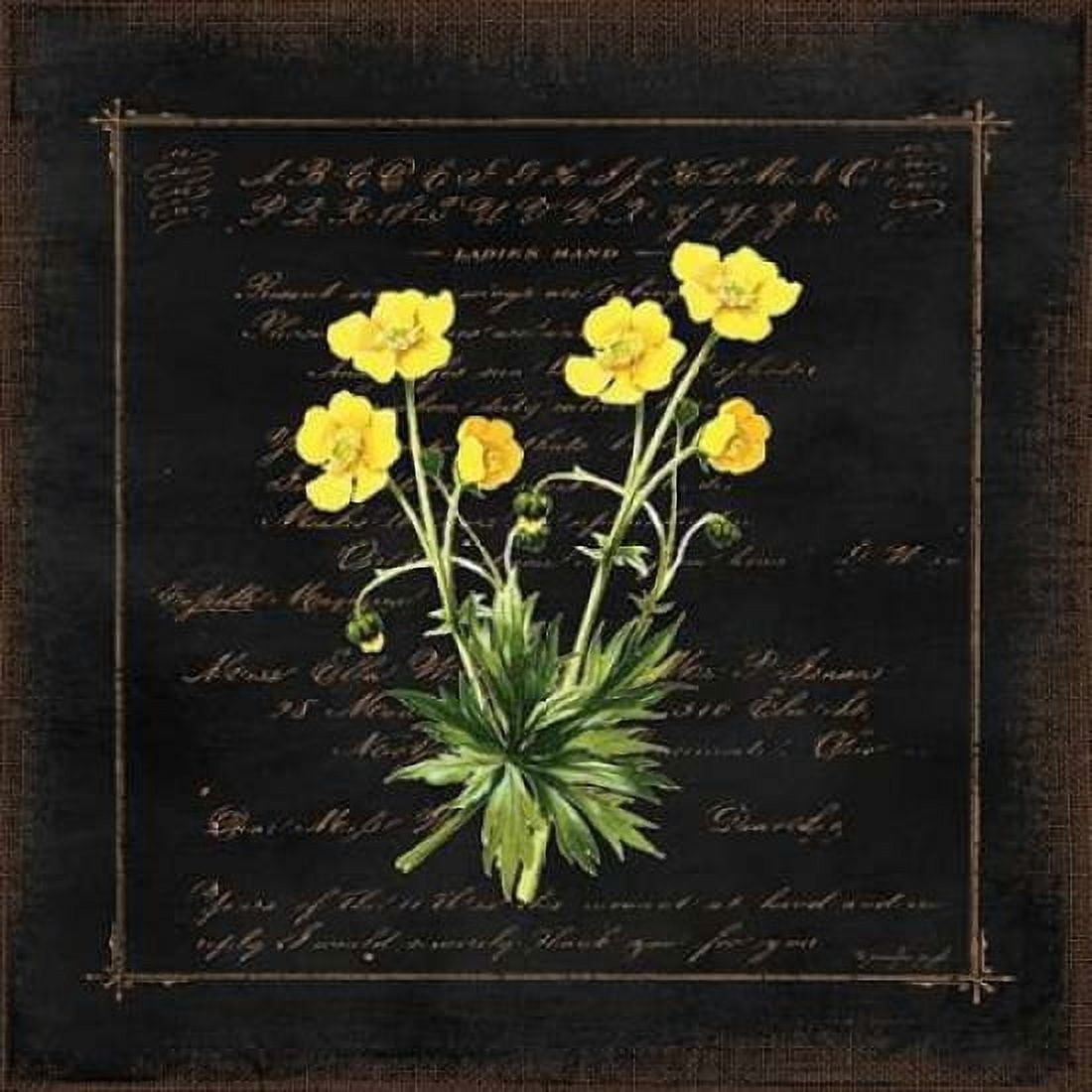 Floral VI Canvas Art - Jennifer Pugh (24 x 24)