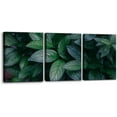 thumbnail image 1 of Floral Wall Art Canvas Painting Green Leaf Plant Posters and Prints Decorative Modern Home Decoration Tropical Green Nature Wall Home Decor Wall Art for Living Room - 12" x 16" x 3 Panels, 1 of 6