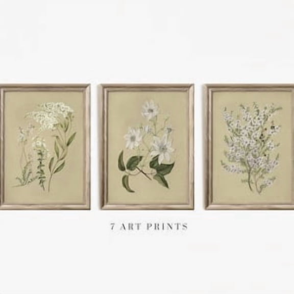 Floral Wall Art Set: Vintage Botanical Prints (Set of 3), Poster Only