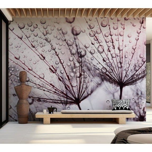 Floral Wallpaper Wall Mural - Dandelion in The Rain