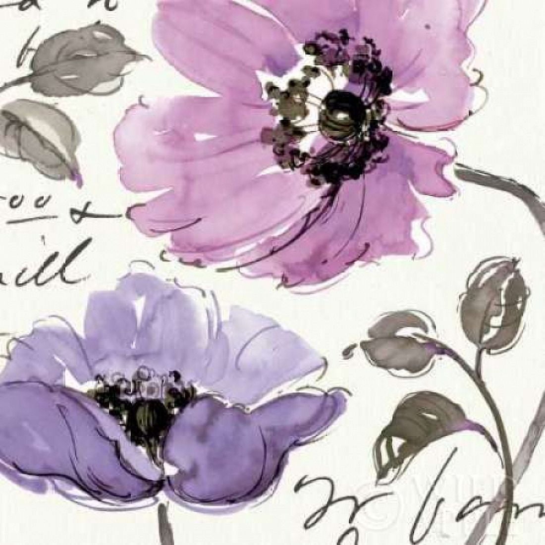 Floral Waltz Plum I Canvas Art - Pela Studio (24 x 24)