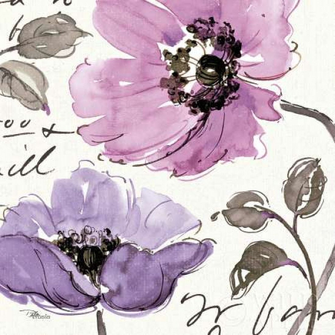 Floral Waltz Plum I Canvas Art - Pela Studio (24 x 24)