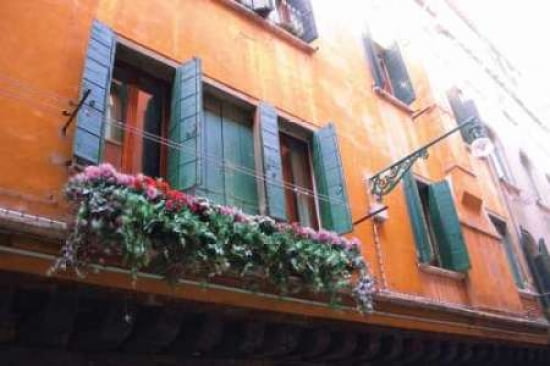 Floral Window Florence I Canvas Art - John Warren (12 x 18)