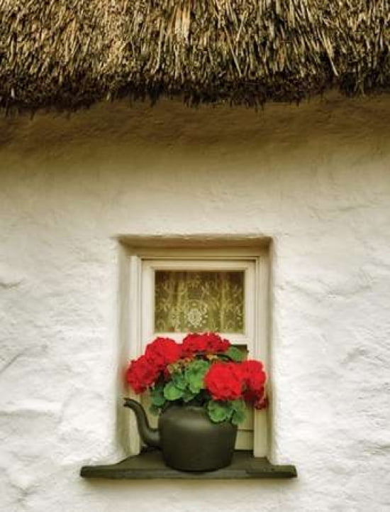 Floral Window I Canvas Art - Dennis Frates (22 x 28)