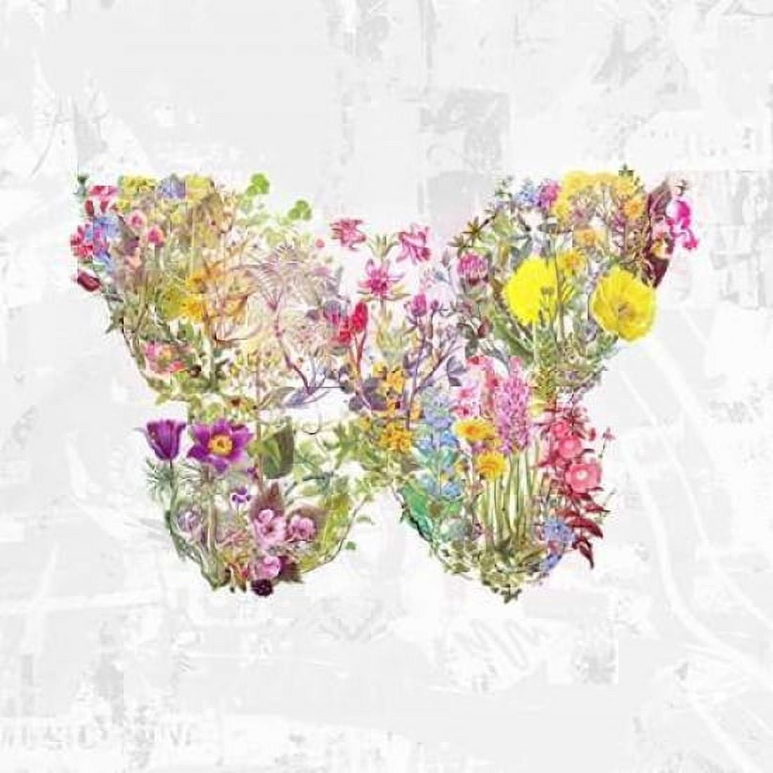 Floral butterfly Canvas Art - Teis Albers (24 x 24)