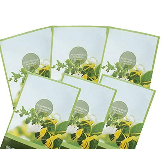 FloralSimplicity Honeysuckle Scented Sachets (6 Pack)