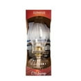 Florasense Glass Oil Lamp