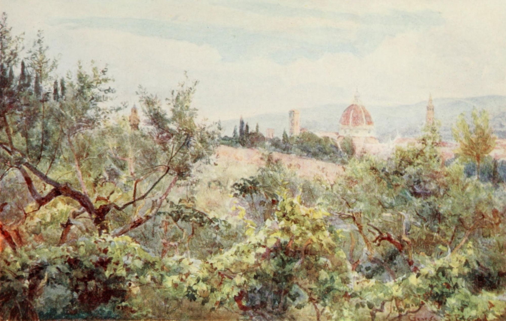 Florence 1912 Florence through an olive grove Canvas Art - RC Goff (24 x 36)
