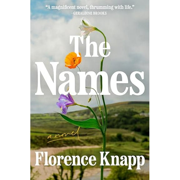 Pre-Owned The Names: A Read with Jenna Pick (Hardcover) 0593833902 9780593833902