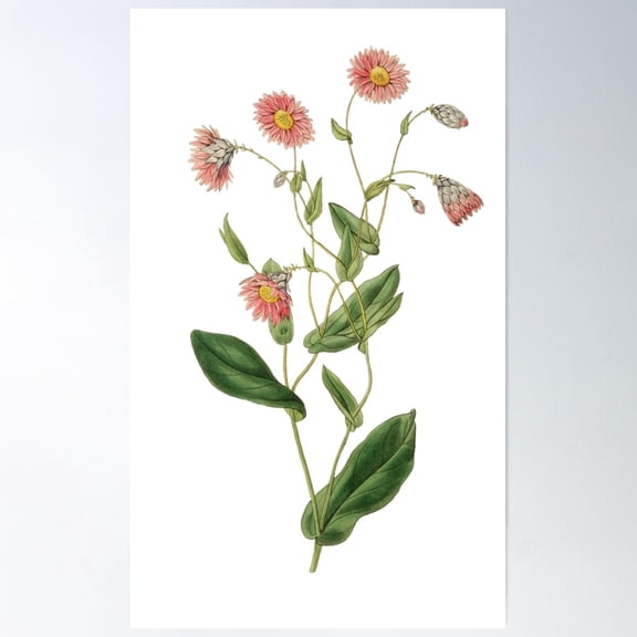 Florence Poster Wall Art, Modern Wall Decor For Living Room Bedroom, 12x18 UNFRAMED