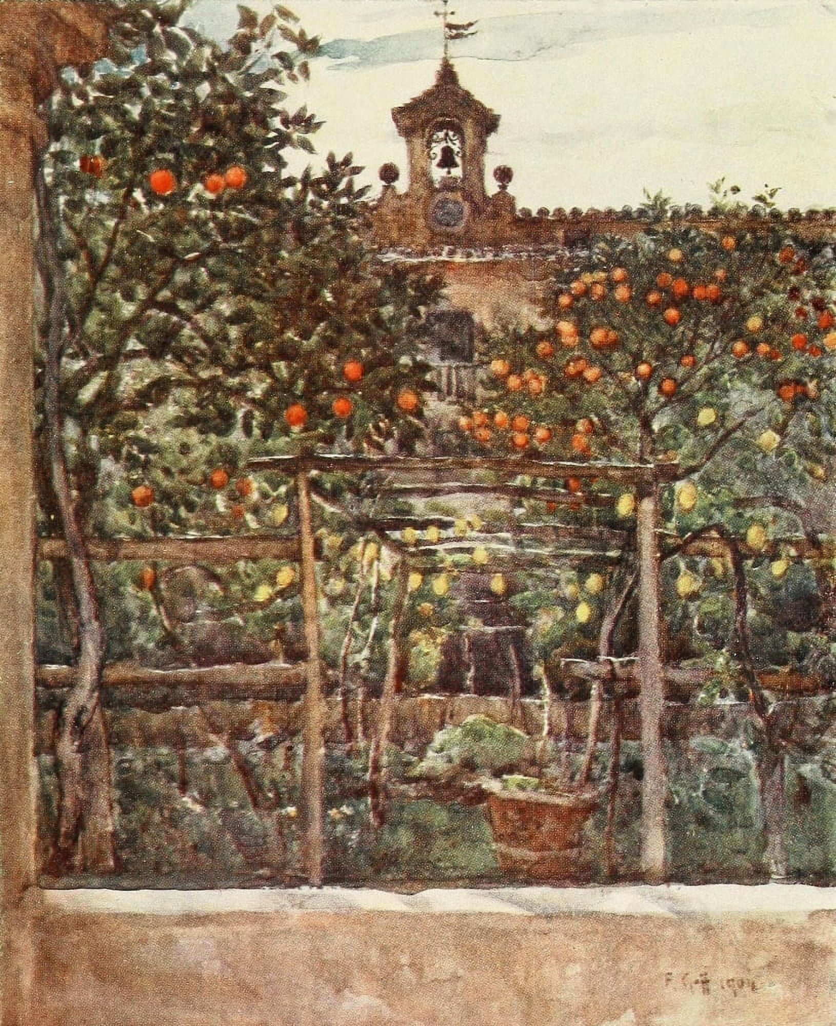 Florence & some Tuscan Cities 1905 Orange & lemon trees Canvas Art - RC Goff (24 x 36)