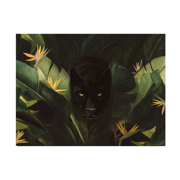 Florent Bodart 'Hello Panther' Canvas Art