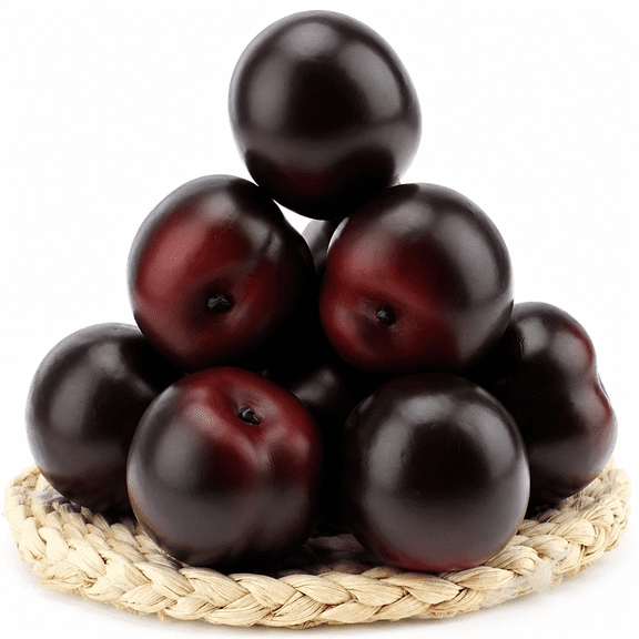 Florenta 8pcs Artificial Realistic Brin Plum Fake Fruit Home Party Decoration Food Photography Props Model