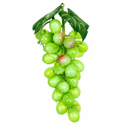 Florenta Artificial Plastic Grapes 36 Count,Green