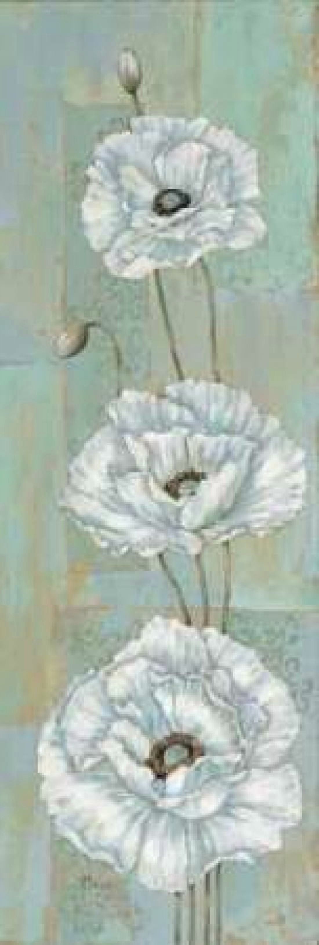 Florentine Poppies Canvas Art - Paul Brent (8 x 24)