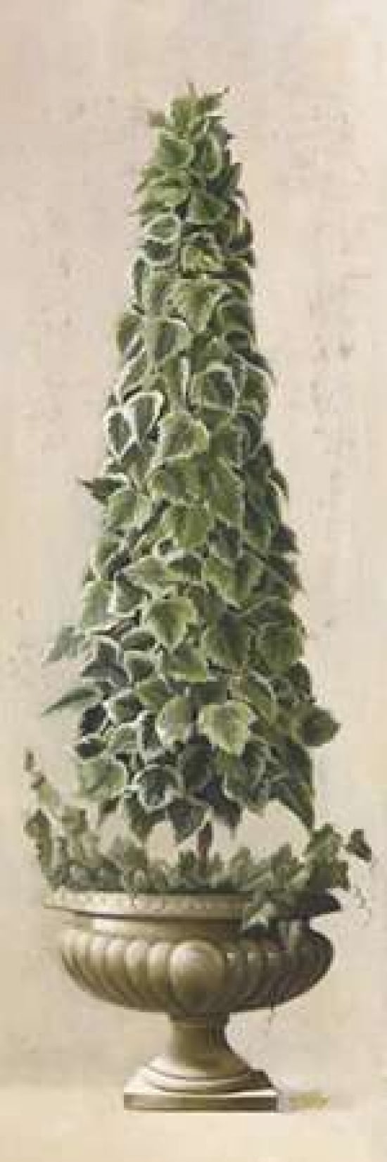 Florentine Topiary I Canvas Art - Welby (12 x 36)