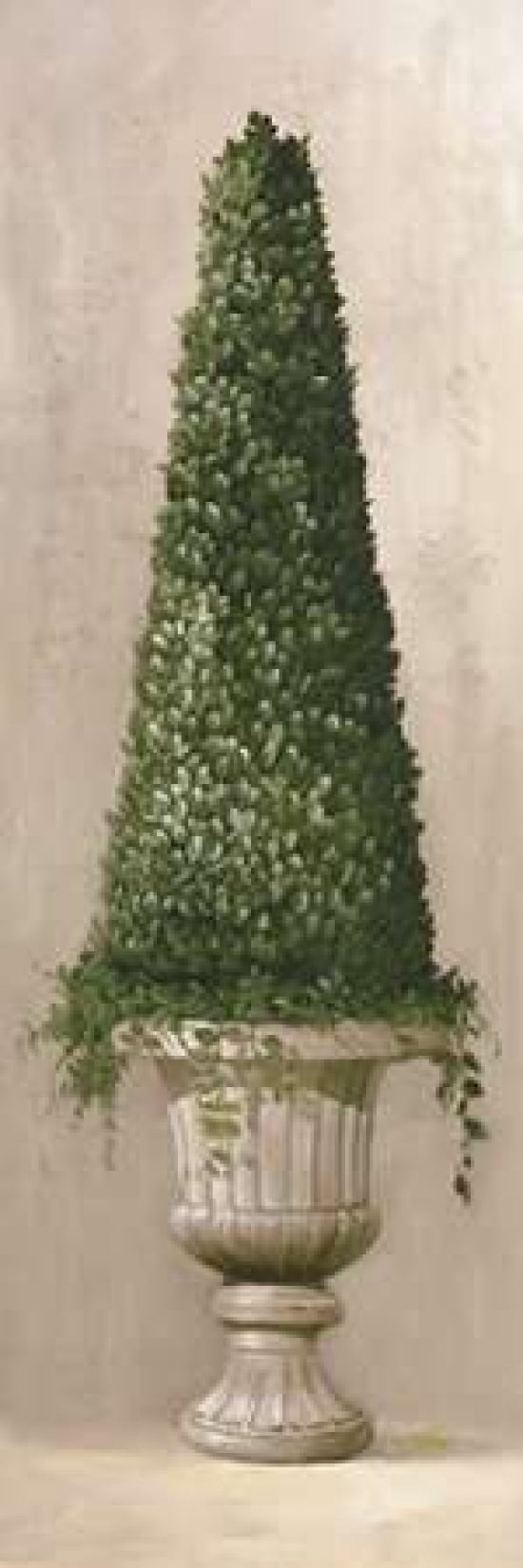 Florentine Topiary II Canvas Art - Welby (12 x 36)