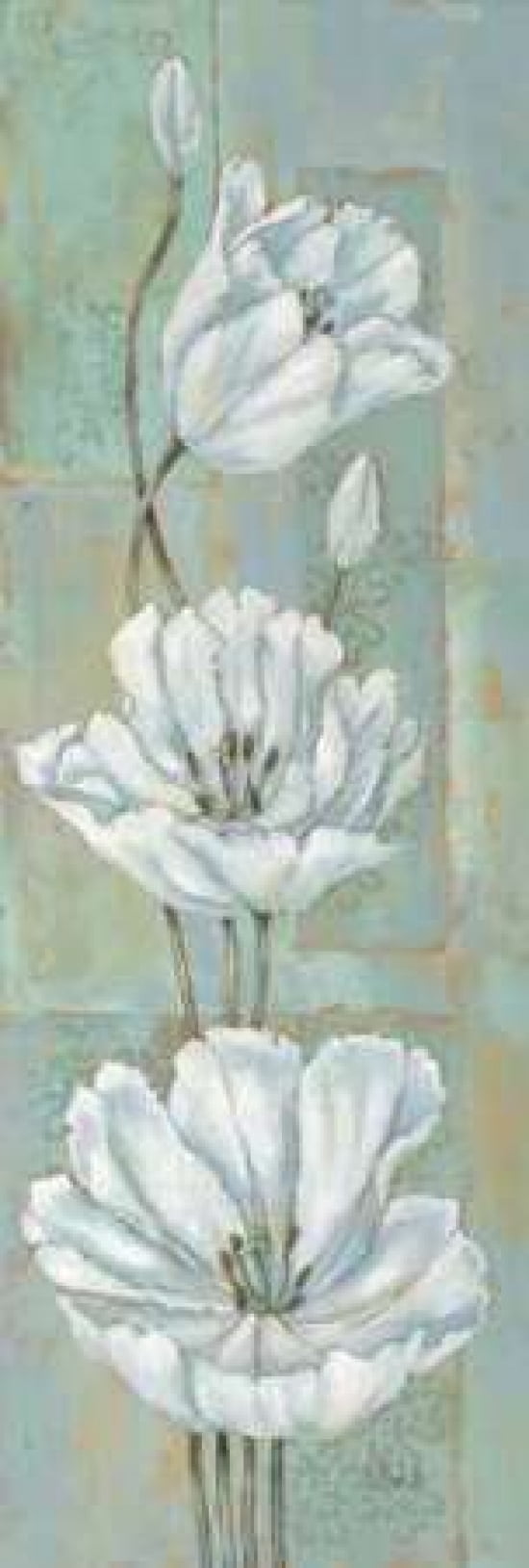 Florentine Tulips Canvas Art - Paul Brent (8 x 24)