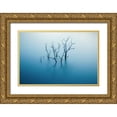 thumbnail image 1 of Flores, Xavi 14x11 Gold Ornate Wood Framed with Double Matting Museum Art Print Titled - Siurana, 1 of 4
