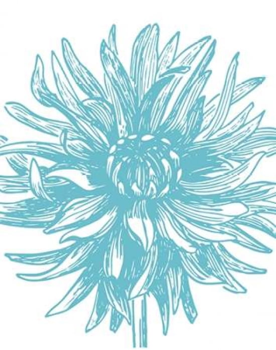 Florette II Canvas Art - Sabine Berg (22 x 28)