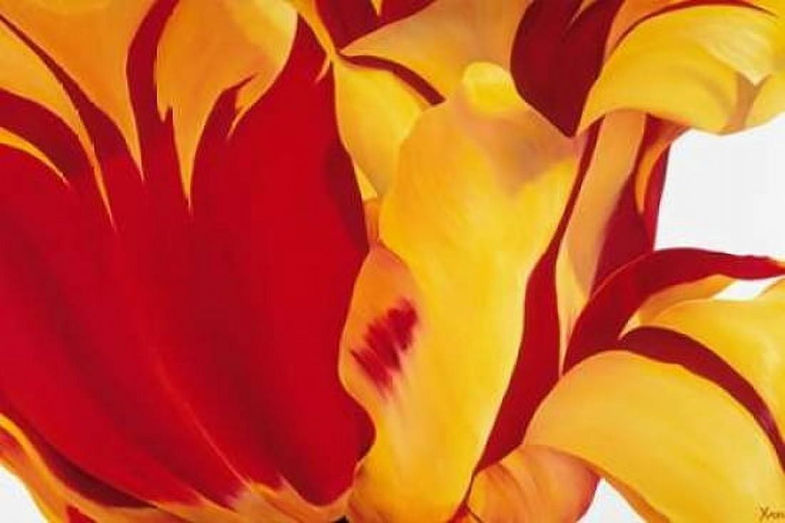 Floriade I Canvas Art - Yvonne Poelstra-Holzhaus (12 x 18)