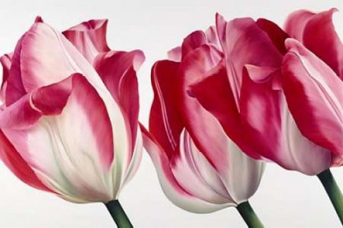 Floriade V Canvas Art - Yvonne Poelstra-Holzhaus (12 x 18)