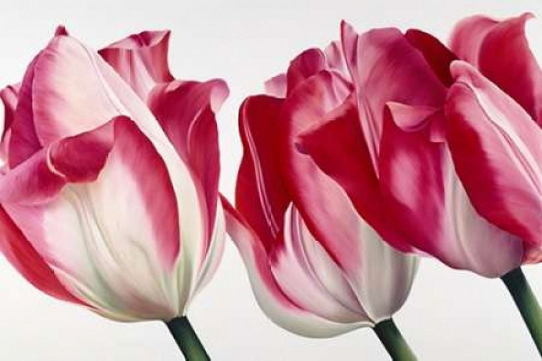Floriade V Canvas Art - Yvonne Poelstra-Holzhaus (24 x 36)