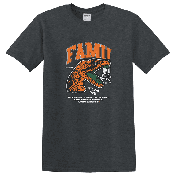 Florida A And M Campus Inspired Graphic T-Shirt