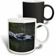 thumbnail image 1 of 3drose, Florida Alligator Head in Water, 11oz Magic Transforming Mug, 1 of 7