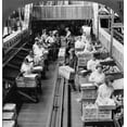 thumbnail image 1 of Florida Boxing Grapefruit. Nworkers Packing Grapefruit Into Crates At A Plant In Manatee River Florida. Stereograph, 1 of 4
