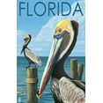 thumbnail image 1 of Florida, Brown Pelicans (24x36 Giclee Gallery Art Print, Vivid Textured Wall Decor), 1 of 3