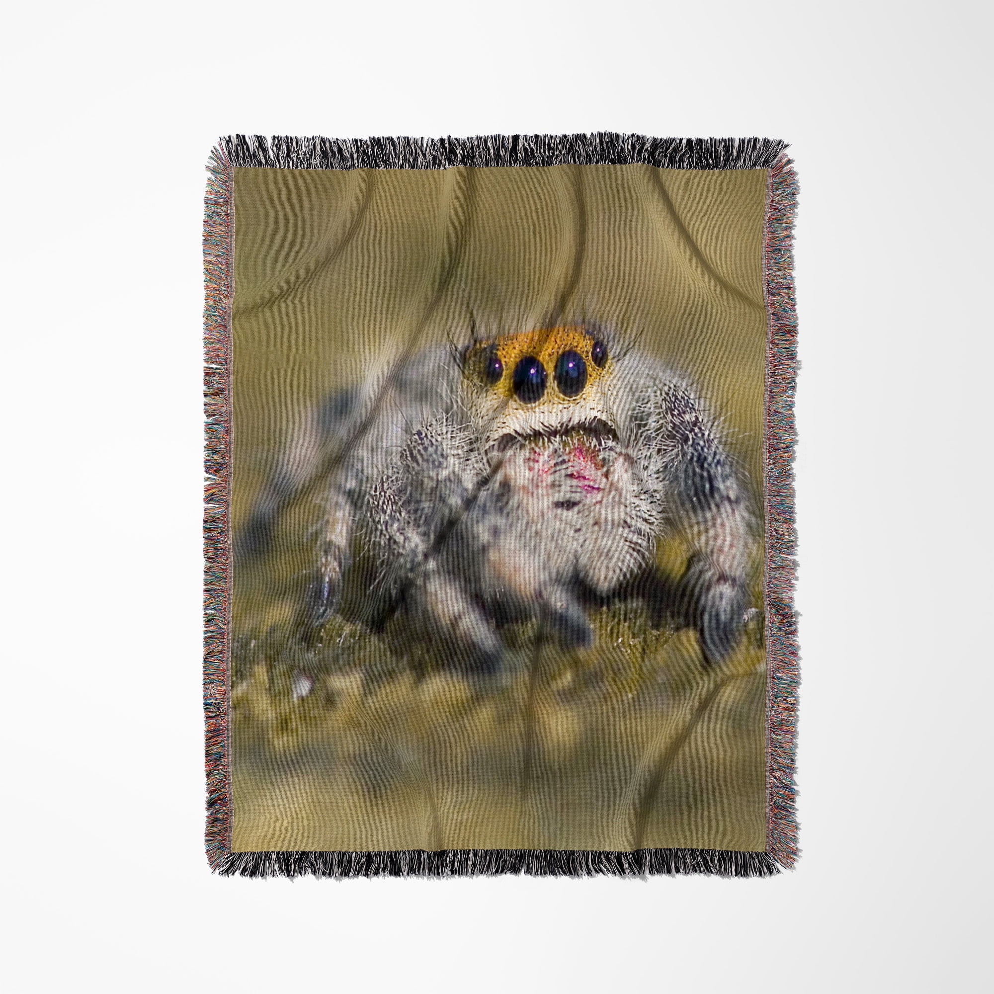 Florida. Close-Up Of Jumping Spider - Us10 Bja0223 - Jaynes Gallery, Woven Blanket