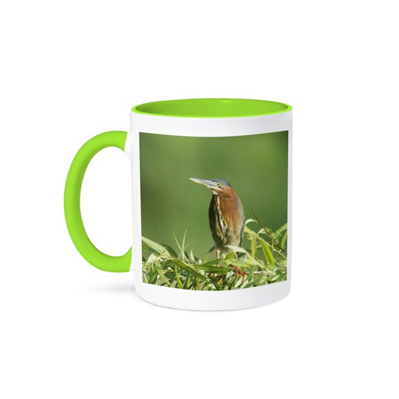 3drose, Florida, Everglades Np, Green Heron Bird - Us10 Rti0058 - Rob Tilley, 11oz Two-tone Green Mug
