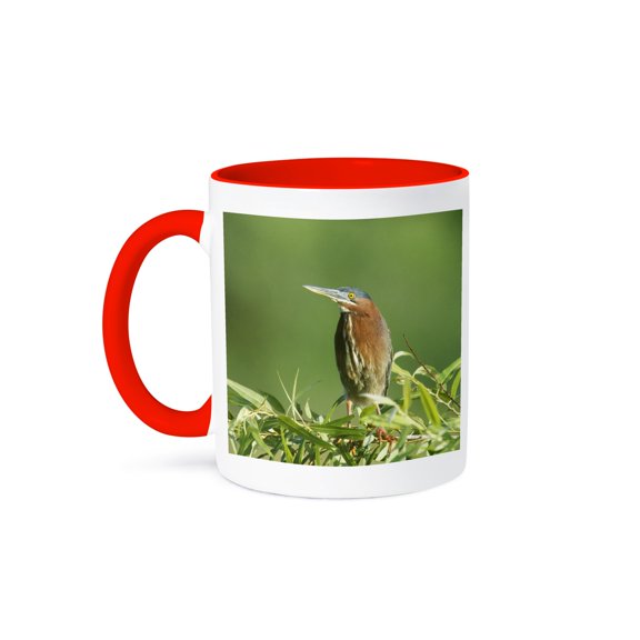 3drose, Florida, Everglades Np, Green Heron Bird - Us10 Rti0058 - Rob Tilley, 11oz Two-tone Red Mug