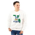 thumbnail image 1 of Florida FL Surf Beach Sunshine Smurf Sweatshirt for Men or Women Brisco Brands X, 1 of 6