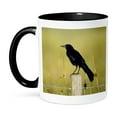 thumbnail image 1 of 3dRose, Florida. Fish crow bird stands on fence post - US10 BJA0163 - Jaynes Gallery, 15oz Two-Tone Black Mug, 1 of 7