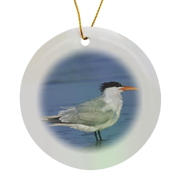 3drose, Florida, Fort De Soto Park. Royal Tern Bird - Us10 Csl0137 - Charles Sleicher, Circle Porcelain Ornament