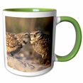 thumbnail image 1 of 3drose, Florida, Fort Myers. Burrowing Owl Pair - Na02 Cad0034 - Claudia Adams, 11oz Two-tone Green Mug, 1 of 6